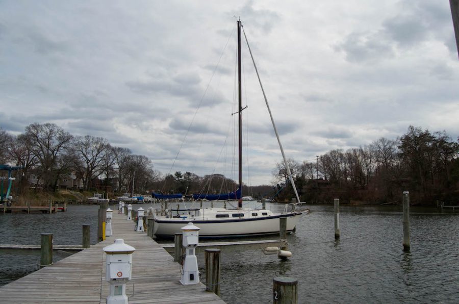 Operation Clearwater hires students to test rivers along the Chesapeake Bay for contamination. 