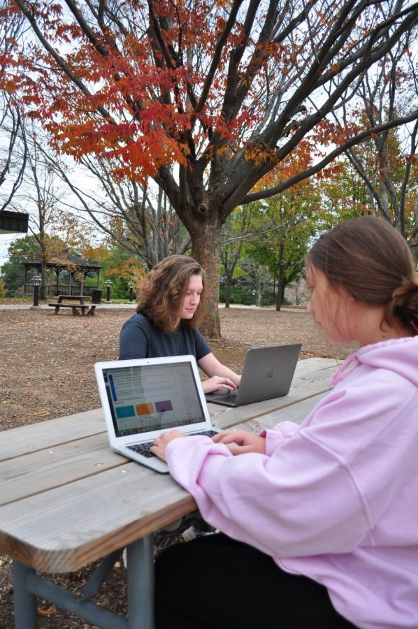 Students and faculty each say the other needs more training in Canvas. Jump Start student Sarah Noble (left) and second-year mass communication major Sarah Sutherland use Canvas to check assignments.