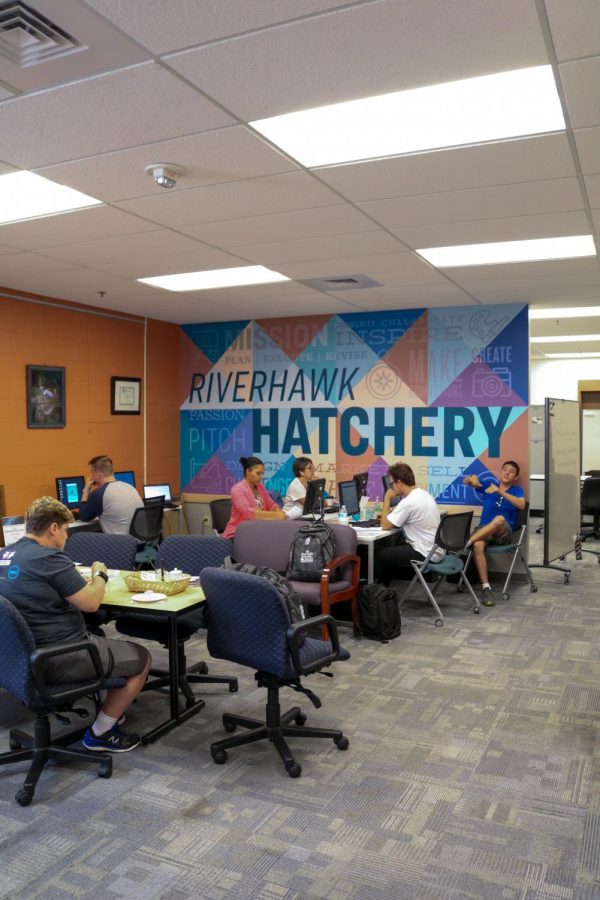 Students can start their own businesses on campus through The Hatchery, a space for their entrepreneurial ideas to start and grow.