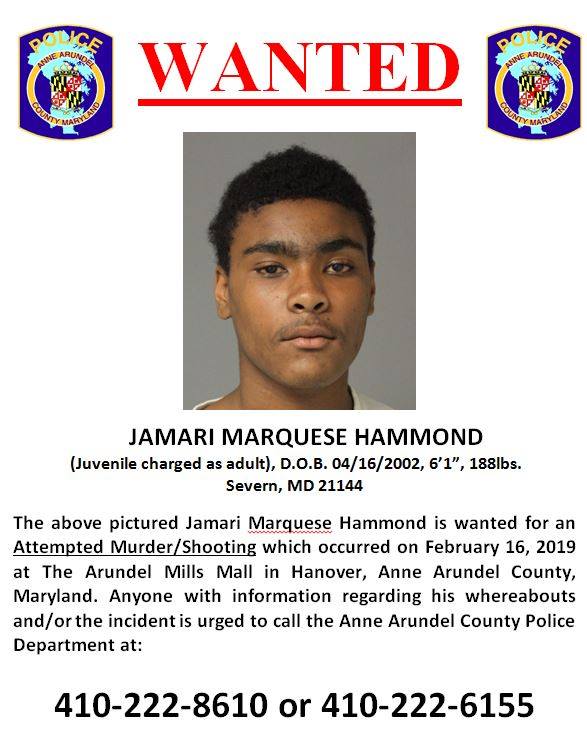 Anne Arundel County Police release a photo of the teenage suspect in Saturday's mall shooting.