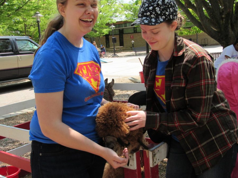 CAB executive board members Kristin Kohout and Catrina Murphy feed an alpaca at the Earth day petting zoo. 