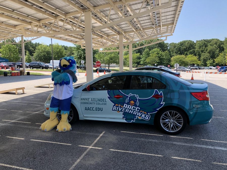 Students ambassadors are paid to drive wrapped cars featuring Swoop to promote AACC. 