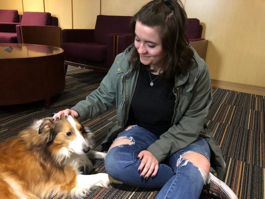 Third-year nursing student Ciara Winters pets therapy dog Taz at Fidos for Finals.