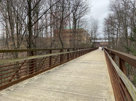 Classes in first summer term to remain online as campus closes for remainder of spring