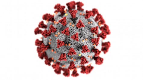 AACC employee tests positive for coronavirus