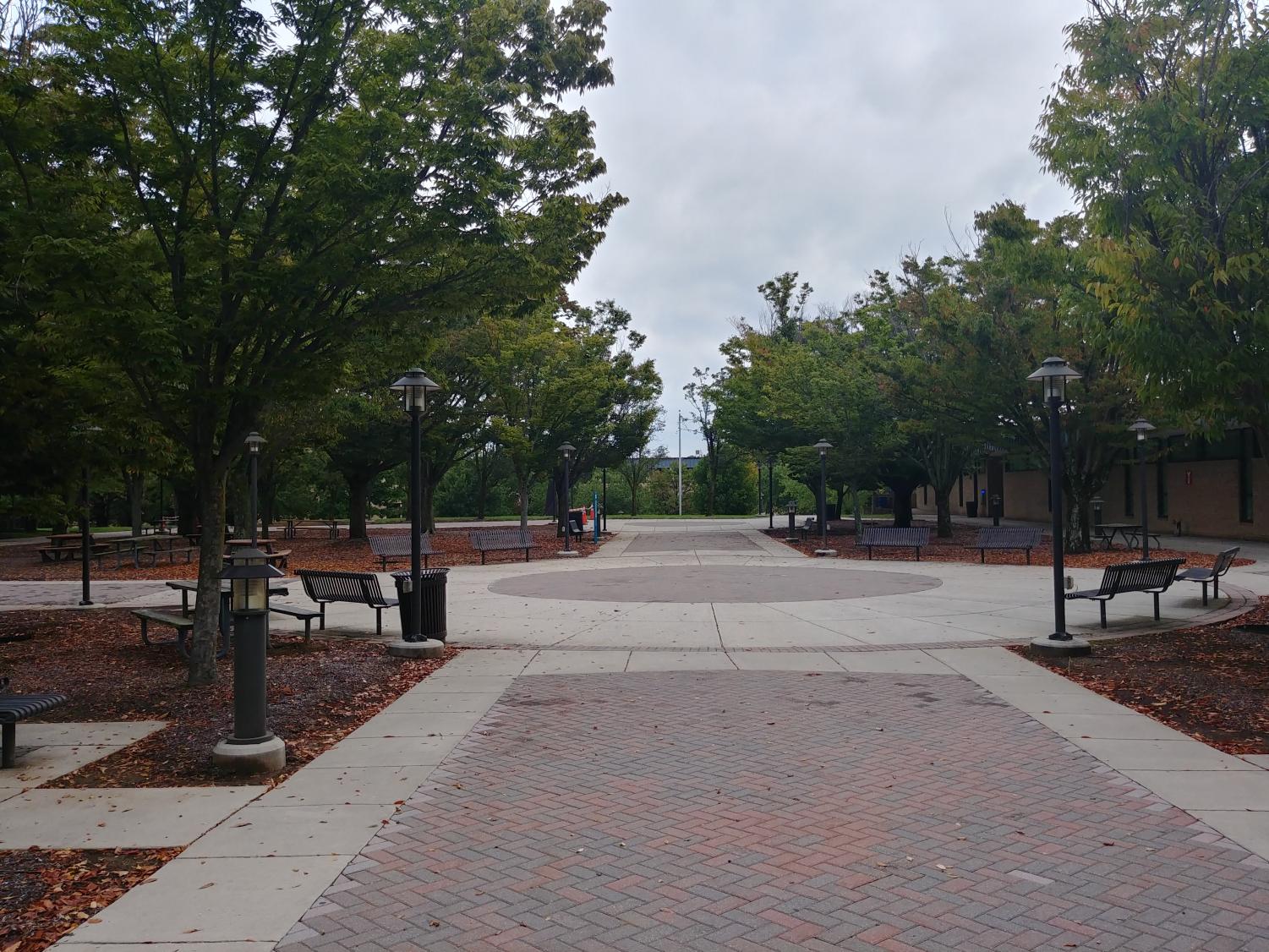 Fall enrollment at AACC is down by approximately 6 Campus Current