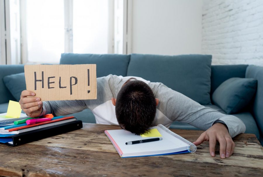 Students hunker down with the books to prepare for final exams, which begin next week.