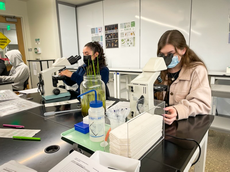 First-year elementary education student Miriam Zorc looks through a microscope in the new Health and Life Sciences building. Students tell Campus Current they are enjoying the new building.