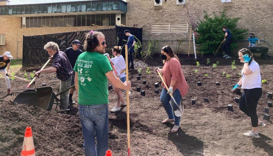 About 30 students plant native Maryland plants located in the side of the Careers Center.