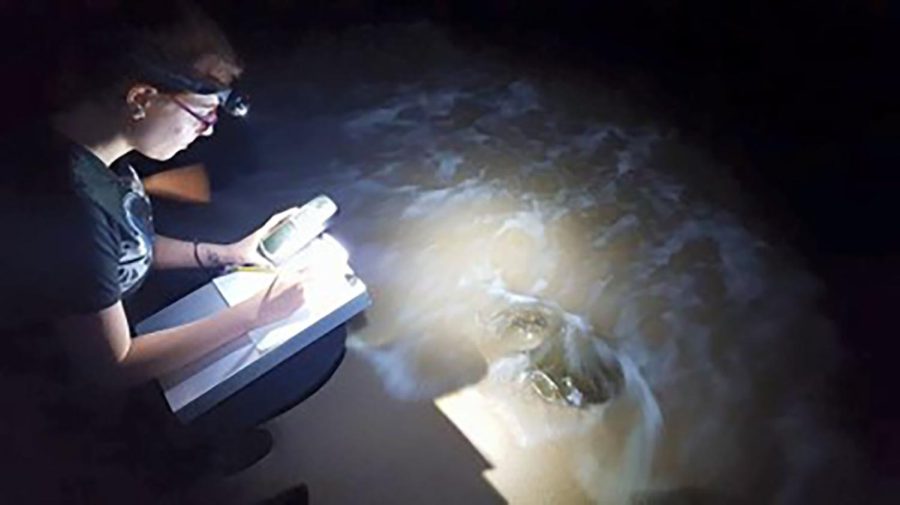 Former AACC biology student Amethyst Conwoy records data about a horseshoe crab at Cove Point in 2015.