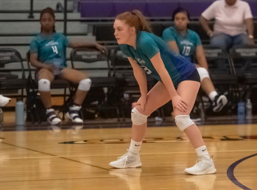 First-year college athletes said they enjoyed their season as a Riverhawk. Shown, middle blocker, Sydni Smith, a first-year business student.