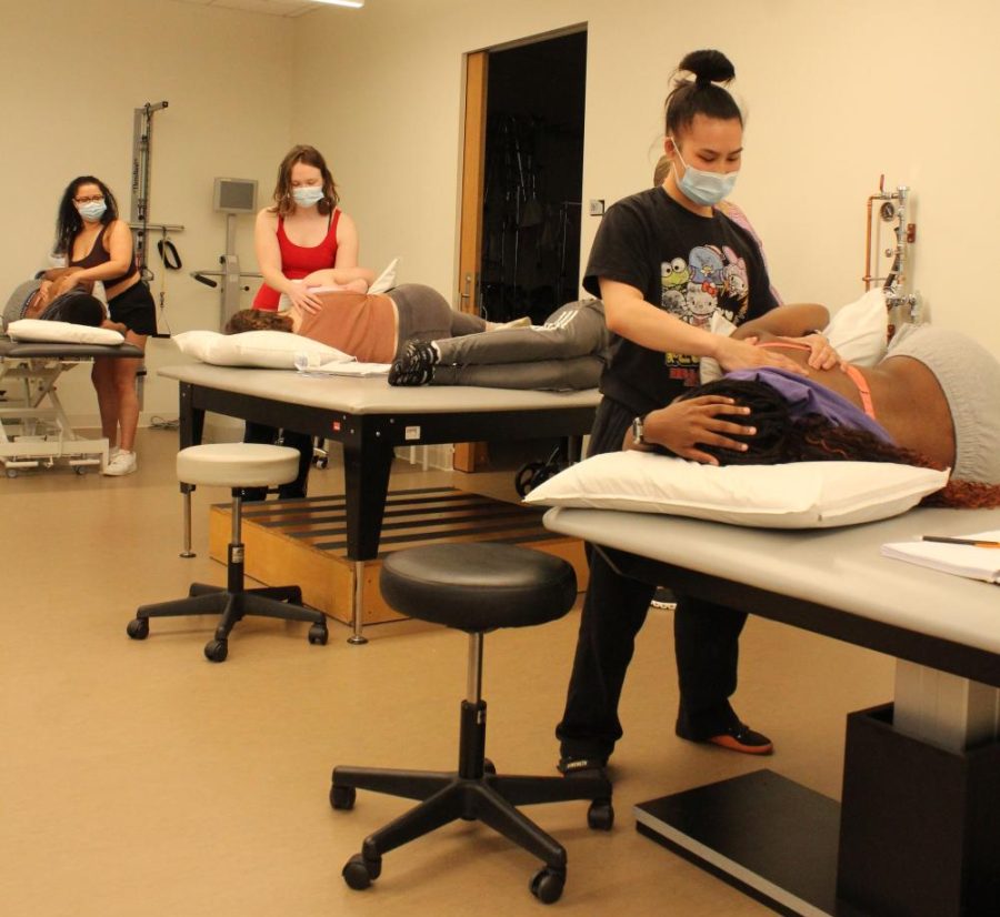 Students practice in a physical therapy class.