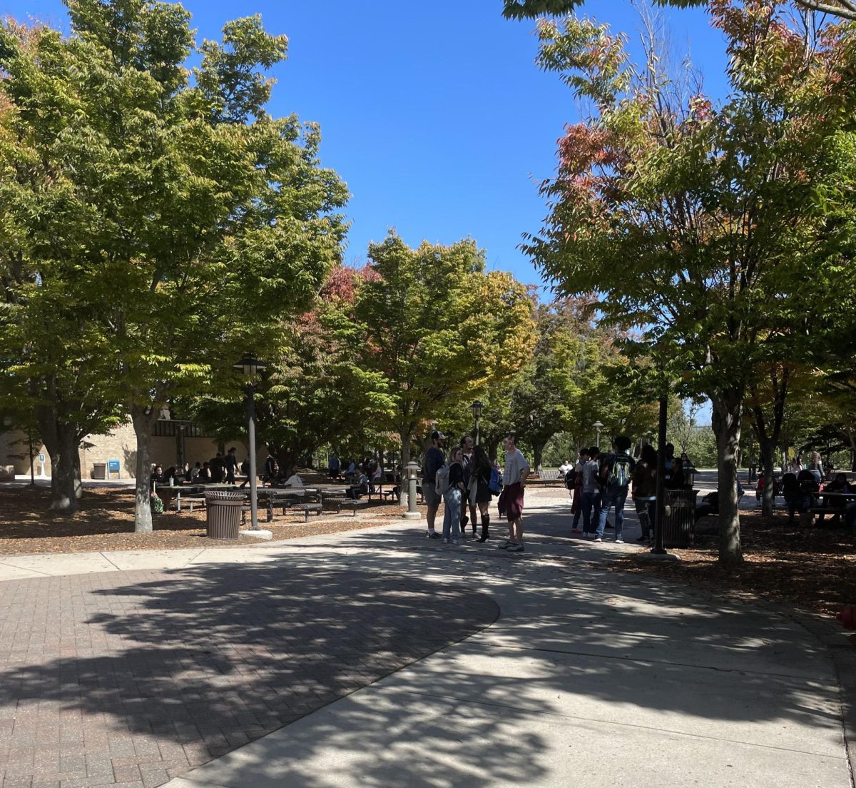 AACC evacuated its library after a false fire alarm.