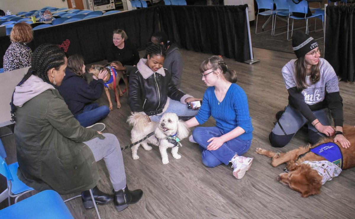 Students pet dogs on campus during the Stress Less Fest, an event that encourages everyone to take a break before finals.