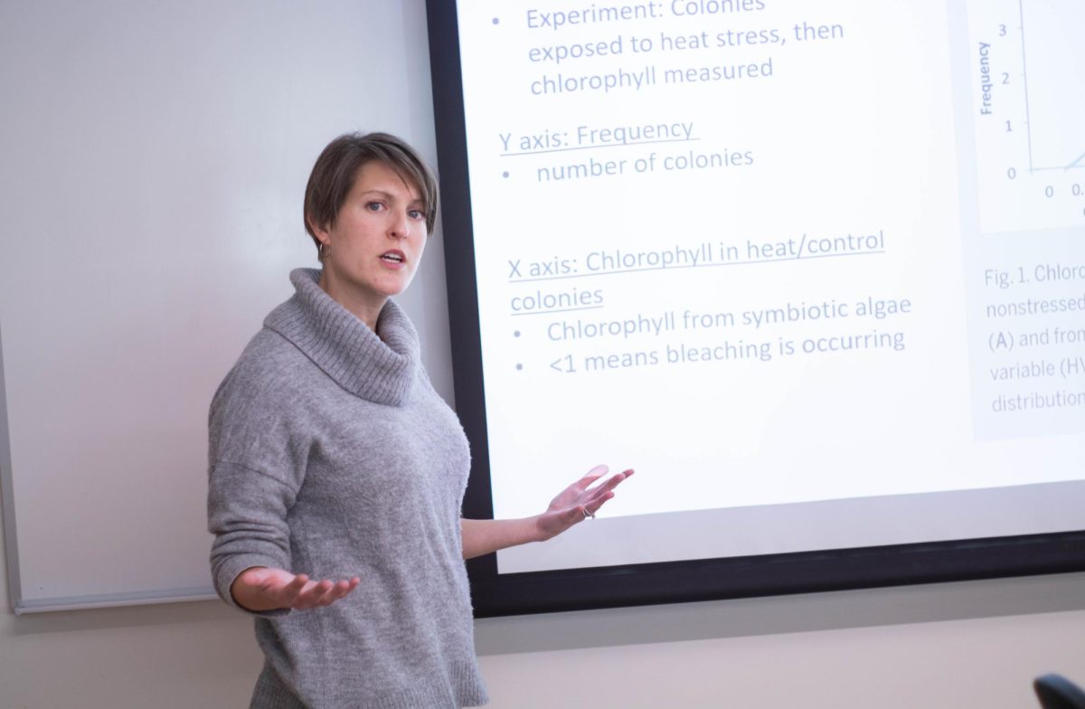 Biology professor Julie Takacs, who taught the new Intro to Research course this semester, presents in her biology class.