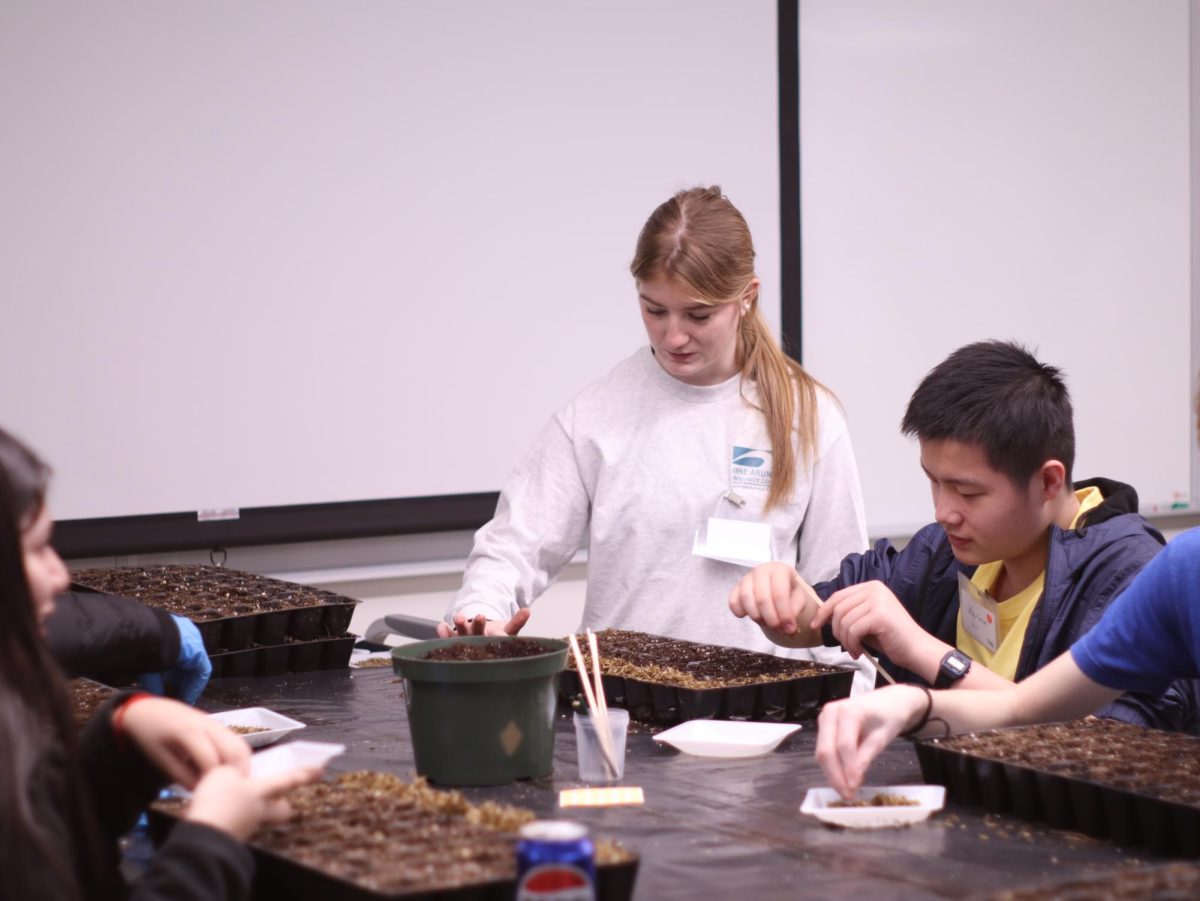 Students from high school and college planted seeds for Providence of Maryland to restore wetlands and marshes around Chesapeake Bay.