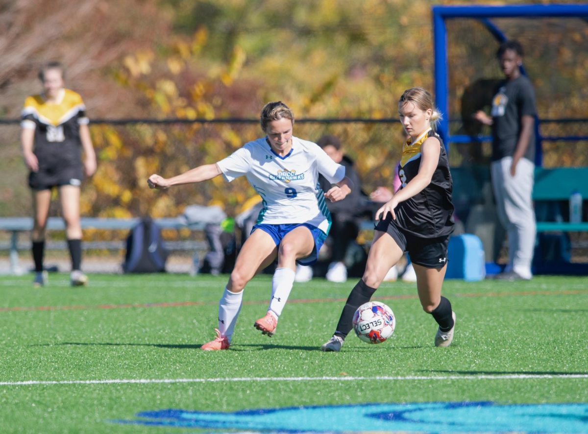 Riverhawks women's soccer had a four-game winning streak early in the season. Shown, left, Eden Abey, a defender.